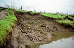 bank_erosion_turbidity